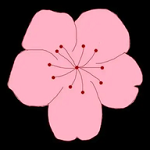 鉴黄师安装APPAPP应用
